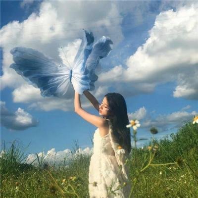 枭起青壤